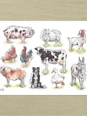 Farm Animals Art Print