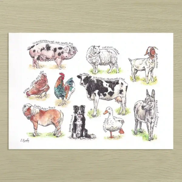 Farm animals Farm Animals Art Print