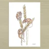 Field Mice Art Print