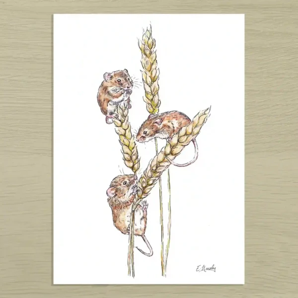 Field Mice Art Print