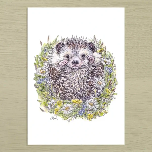 Floral hedgehog Floral Hedgehog Art Print