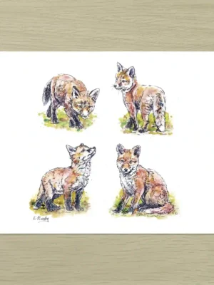 Fox Cubs Art Print