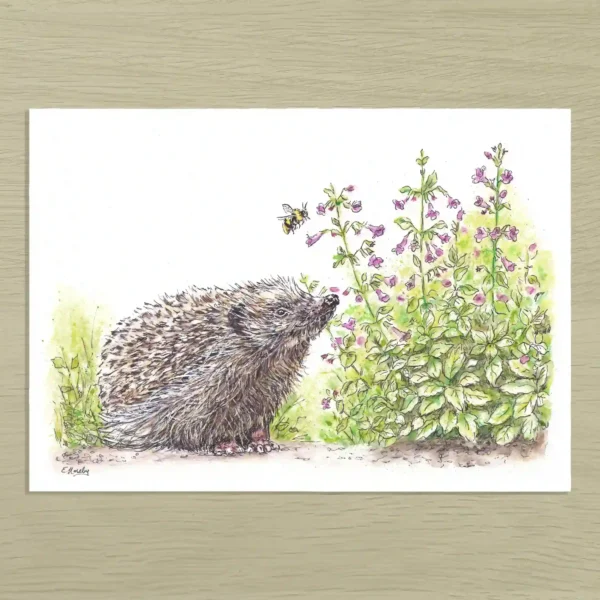Hedgehog & bumblebee Hedgehog & Bumblebee Art Print