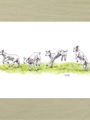 Leaping Lambs Art Print
