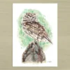 Little owl Little Owl Art Print