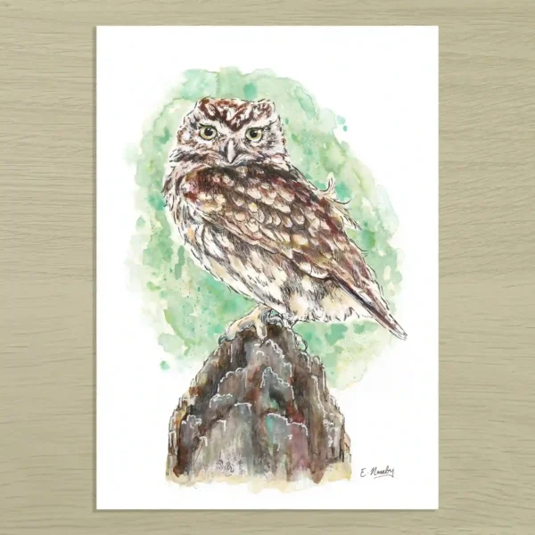 Little owl Little Owl Art Print