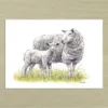 Loving Ewe Art Print