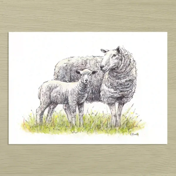 Loving Ewe Art Print