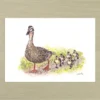 Mother Duck Art Print