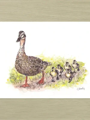 Mother duck Mother Duck Art Print