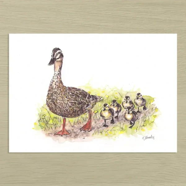 Mother Duck Art Print