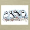 Puffins Coastal Puffins Art Print