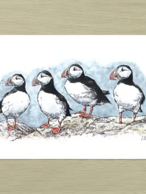 Coastal Puffins Art Print