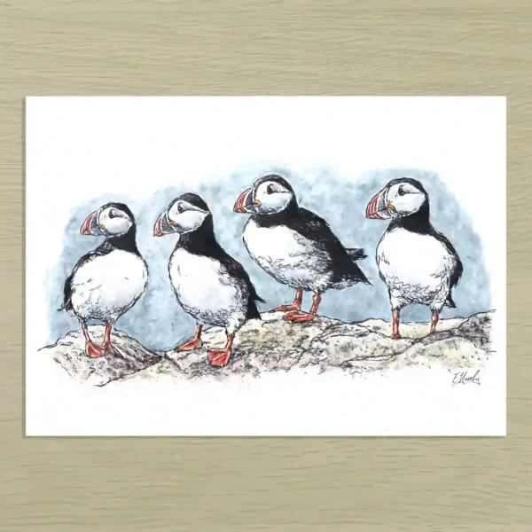 Puffins Coastal Puffins Art Print